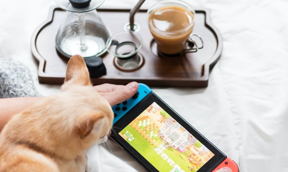Nintendo Switch Educational Games,