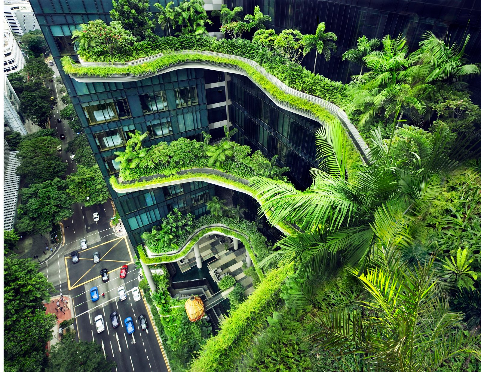 How to Design Green Infrastructure for Sustainable Cities in 2023