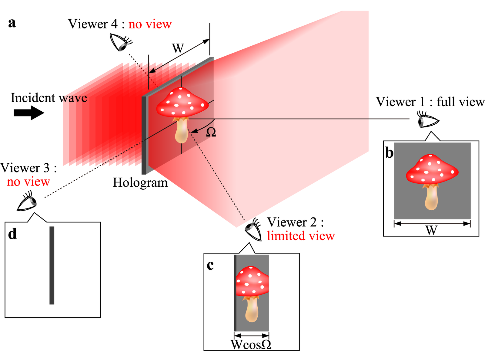 How to Design and Use Holographic Displays in 2023 