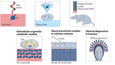 How to Develop and Use Quantum Sensors for Medicine in 2023