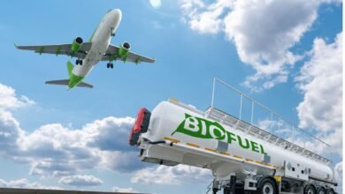 How to Embrace Bioenergy for Sustainable Fuel Solutions in 2023