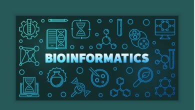 How to Leverage Bioinformatics for Biomedical Research in 2023