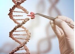 How to Develop Personalized Medicine with Genetic Data in 2023