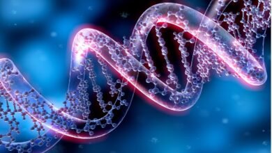 How to Develop Personalized Medicine with Genetic Data in 2023