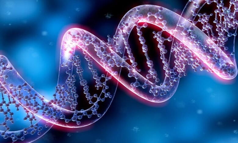 How to Develop Personalized Medicine with Genetic Data in 2023