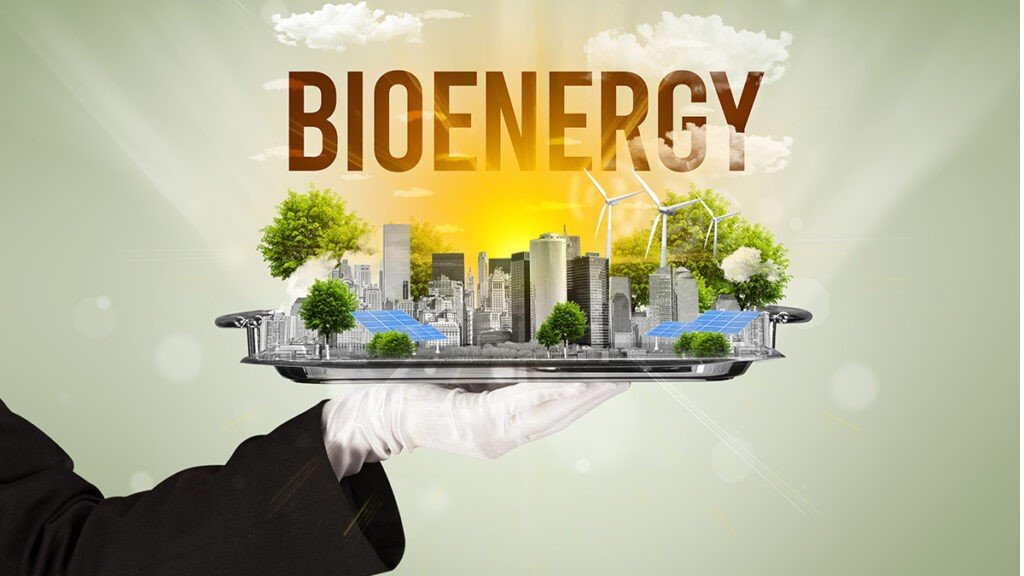 How to Embrace Bioenergy for Sustainable Fuel Solutions in 2023